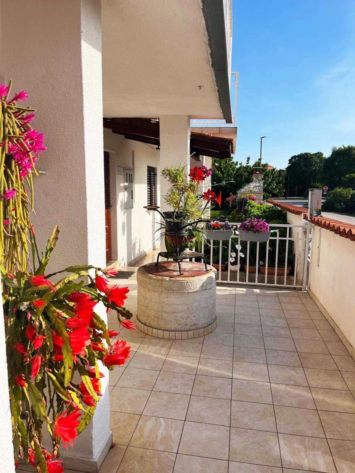 Apartments Ljubica Rovinj Eksteriør bilde