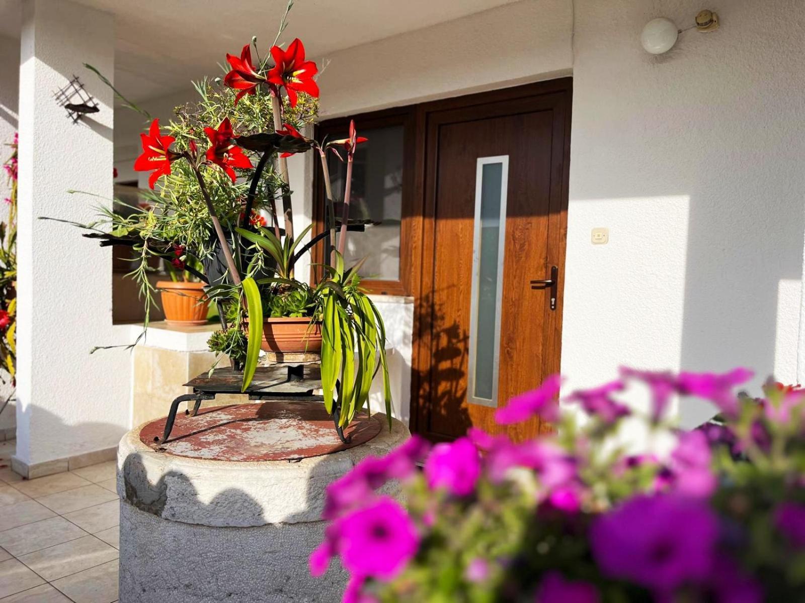 Apartments Ljubica Rovinj Eksteriør bilde