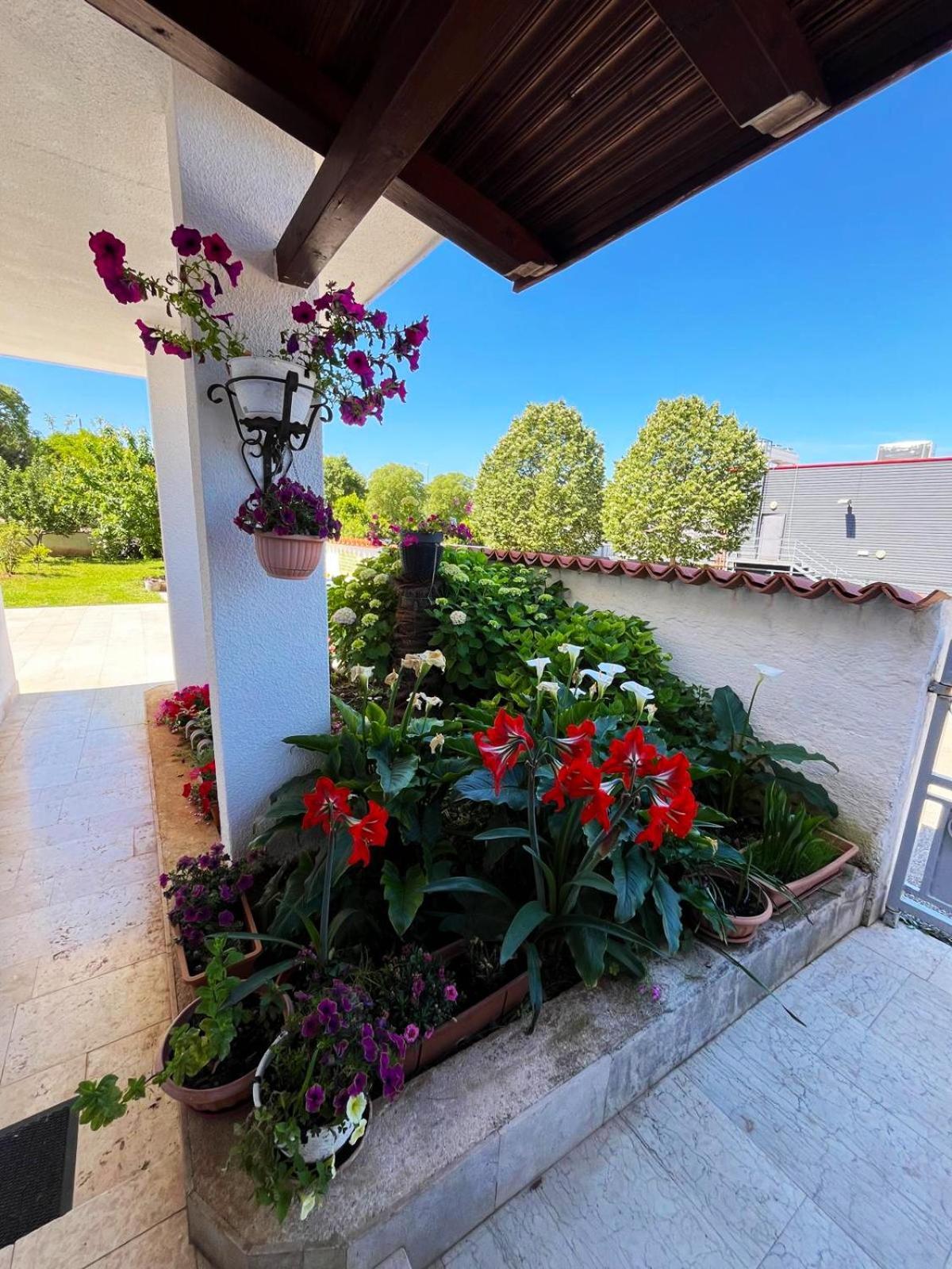 Apartments Ljubica Rovinj Eksteriør bilde